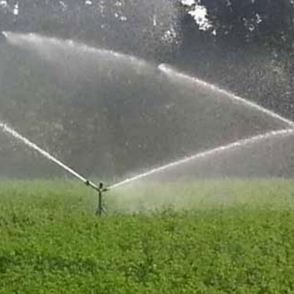 NAAN 280 Giant Gun sprinkler 2 ”female thread